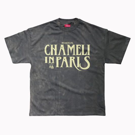 CHAMELI (VINTAGE FINISH) OVERSIZED UNISEX FIT UNISEX TEE